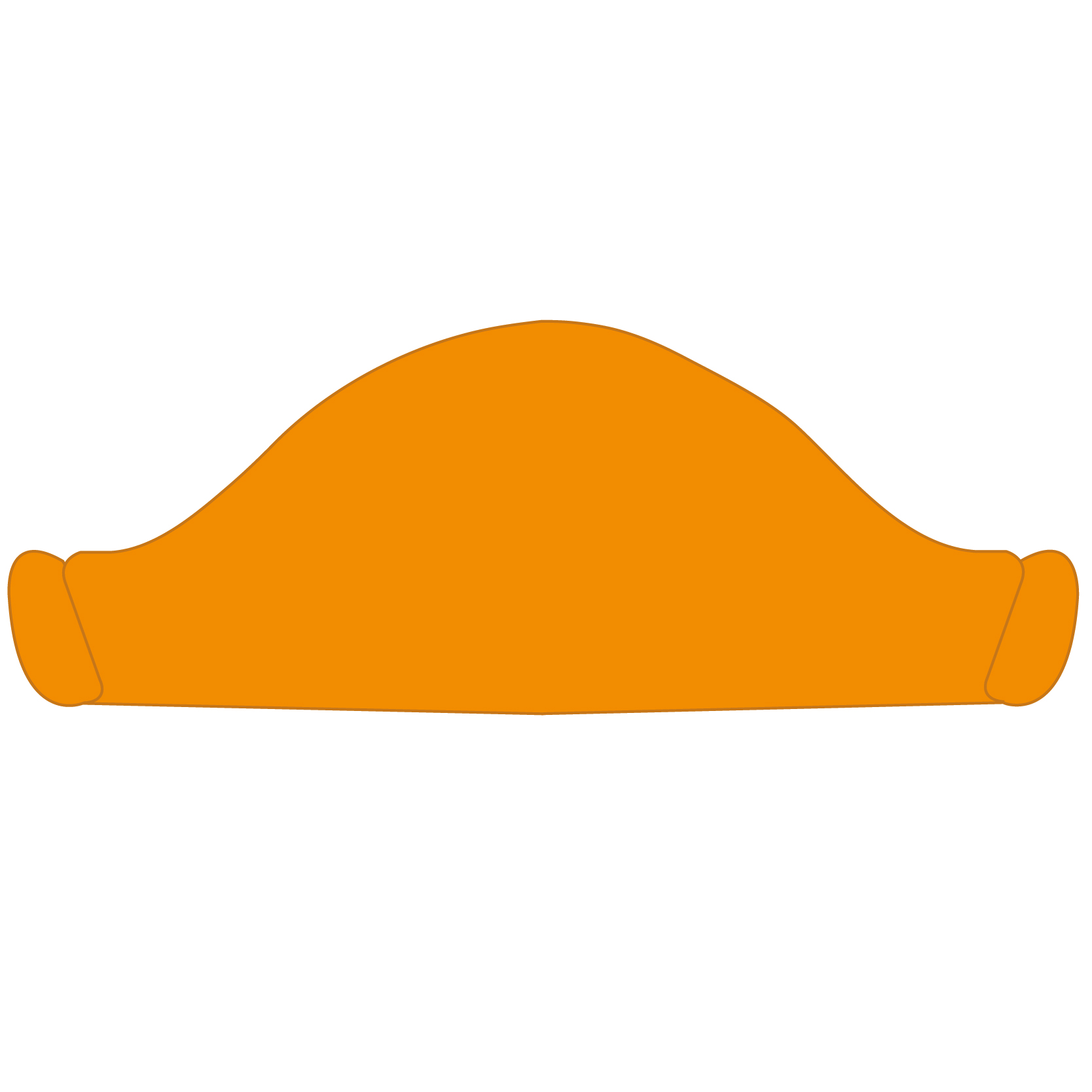 Pirate Hat 23