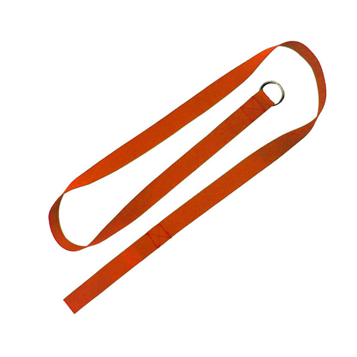 Paws for Life Slip Leash 3