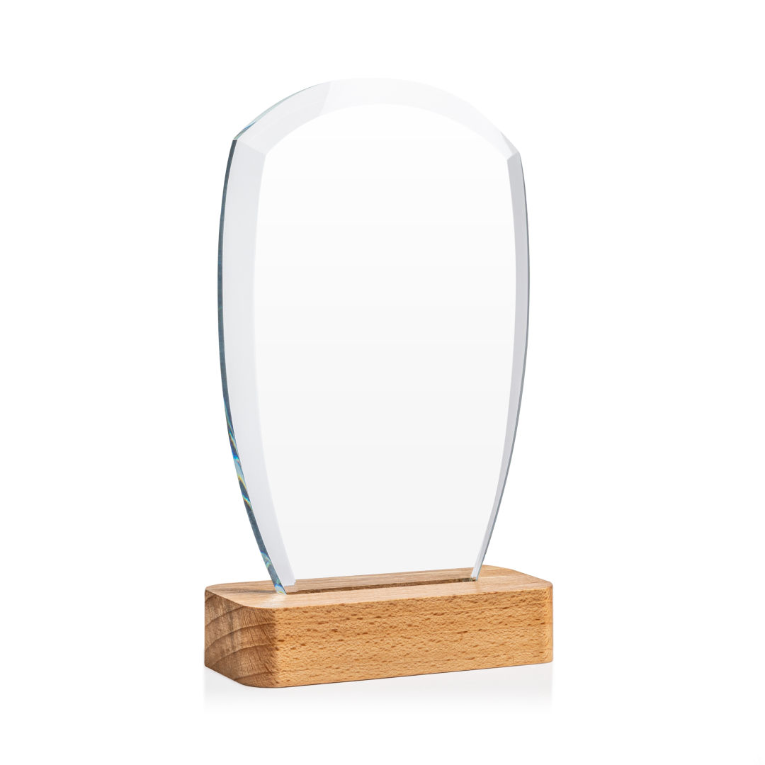 Bayshore Award 6