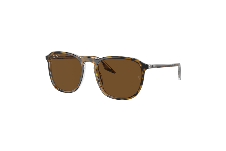 Ray-Ban Polarized RB2203 Sunglasses 1