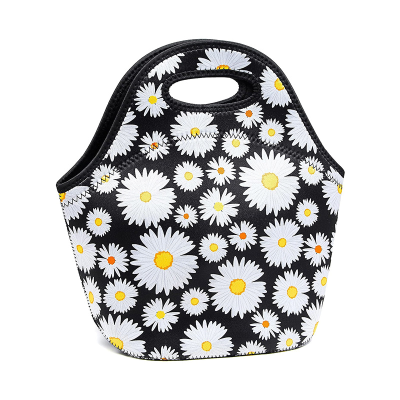 Outdoor Picnic Lunch Bag Cooler 9