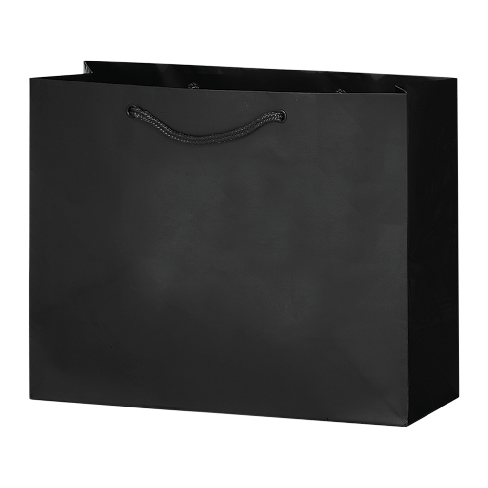 2-Bottle Luxury Laminated Paper Horizontal Tote 3