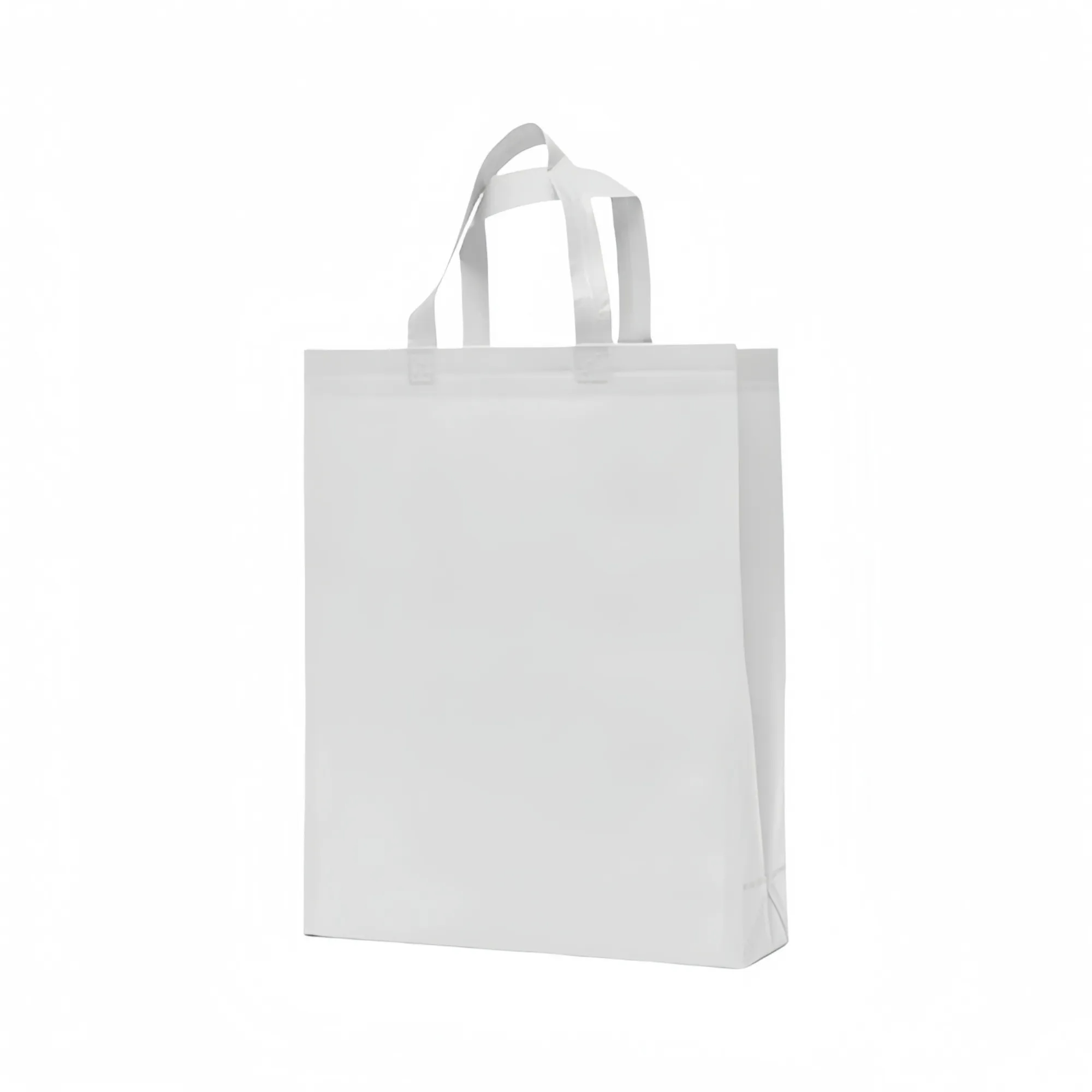 Non-Woven Fabric Bag with Handle 2