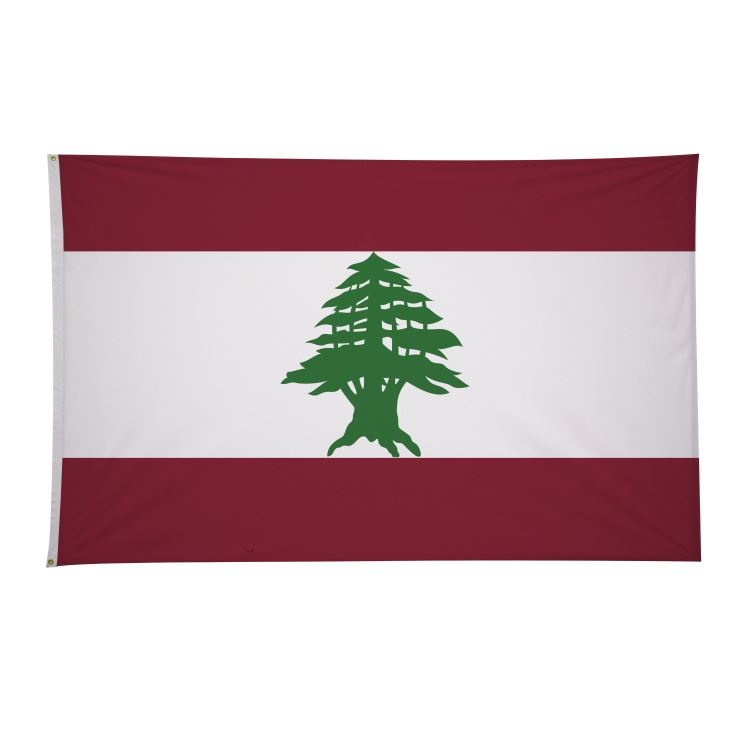 5' x 8' International Flags 267
