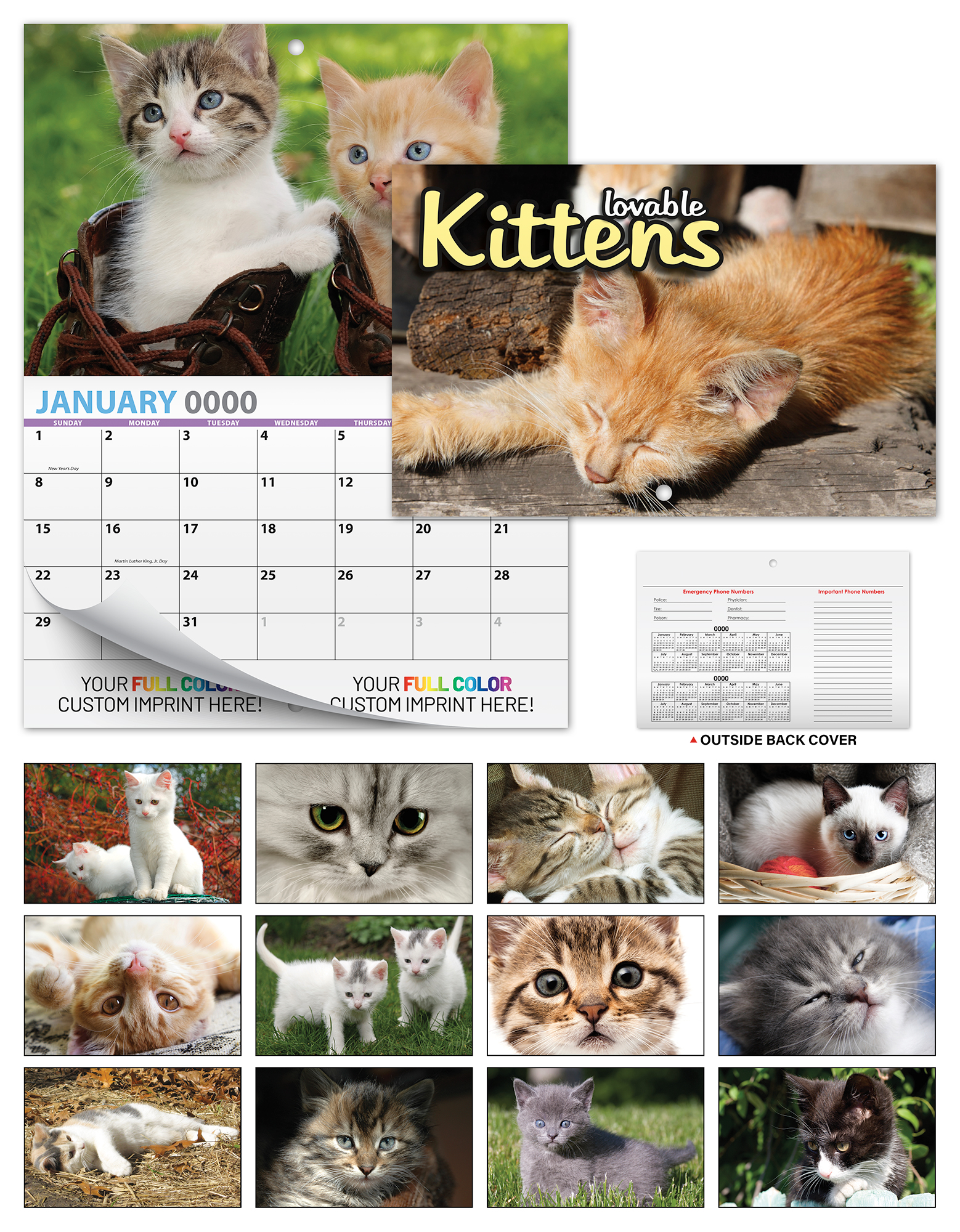 13 Month Mini Custom Photo Appointment Wall Calendar - KITTENS 1