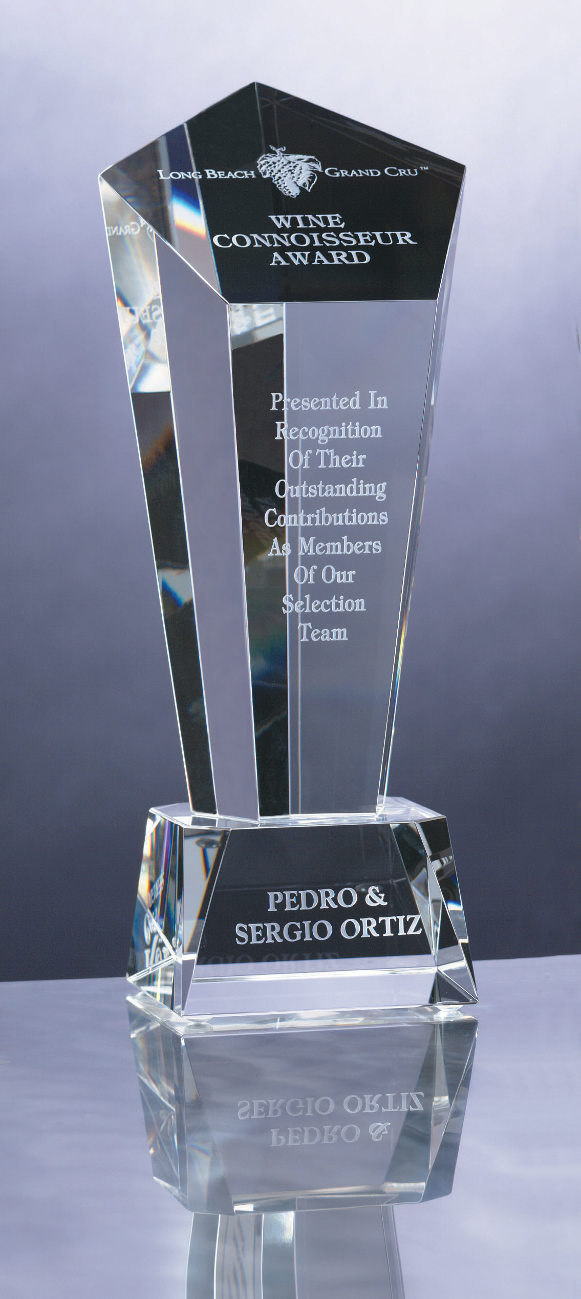 10" Crystal Vision Award 1