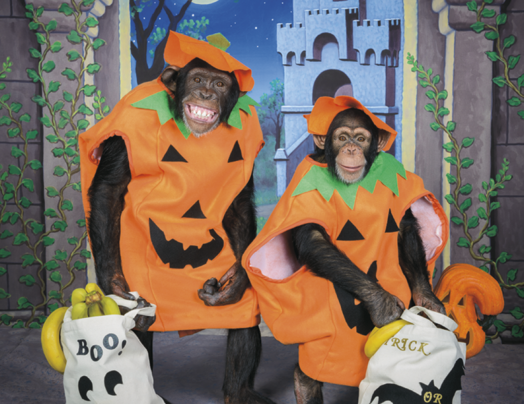 Good Value™ Monkey Mischief - Stapled Calendar 44
