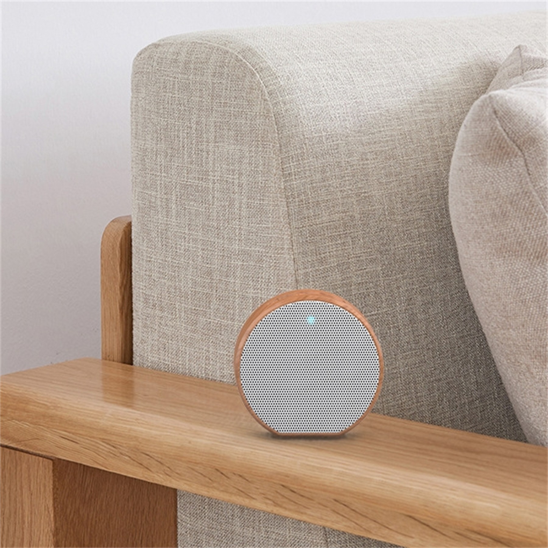 Portable Wireless Speaker 1