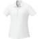 Women's Edge Short Sleeve Polo 41