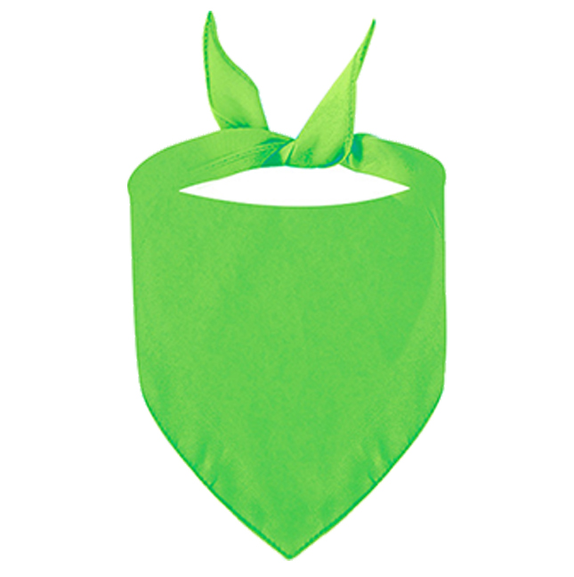 Polyester Breathable Pet Triangle Scarf 11