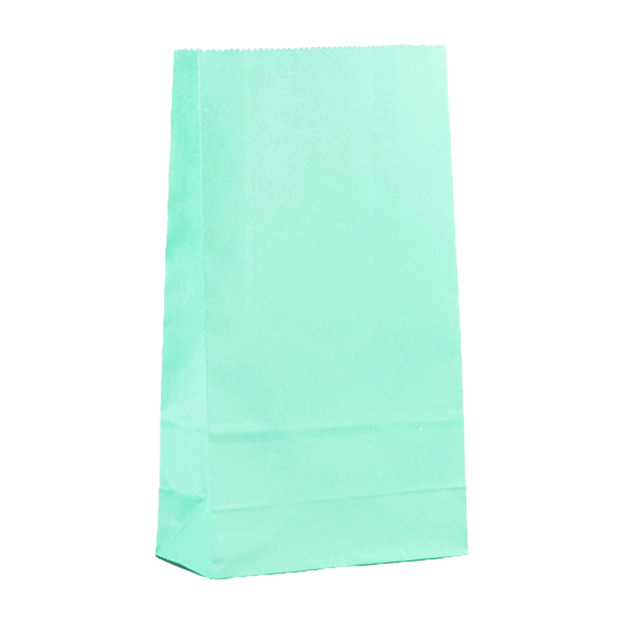 Grocery Shopping Paper Bag 9