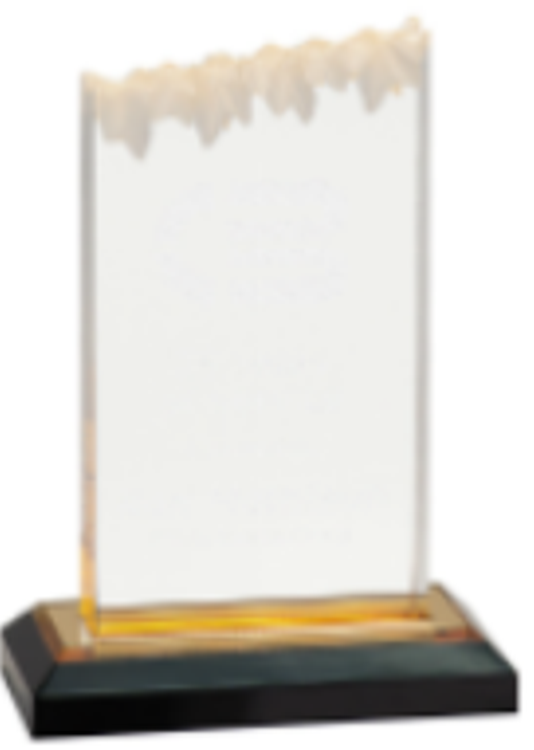 5X7 Gold Frosted Impress Acrylic Award