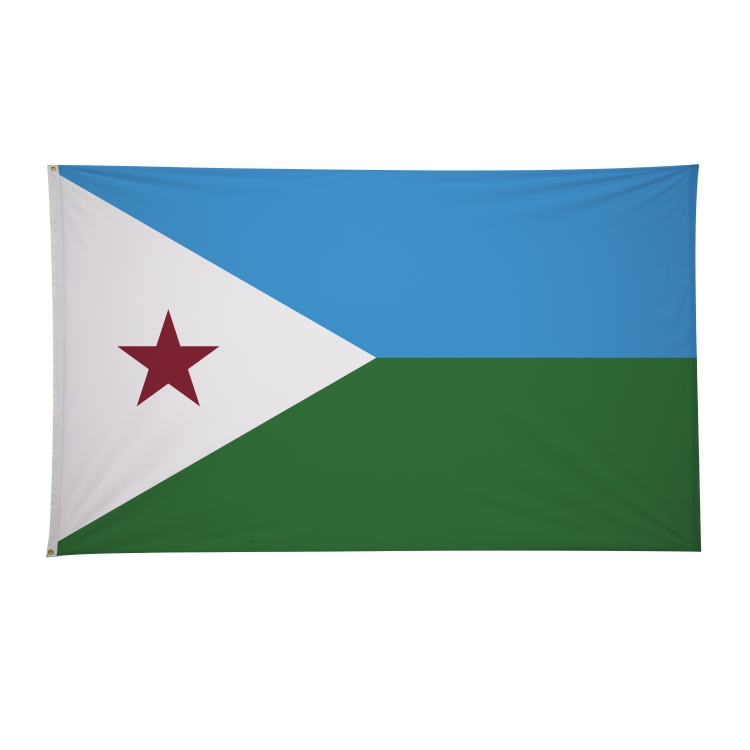 6' x 10' International Flags 178