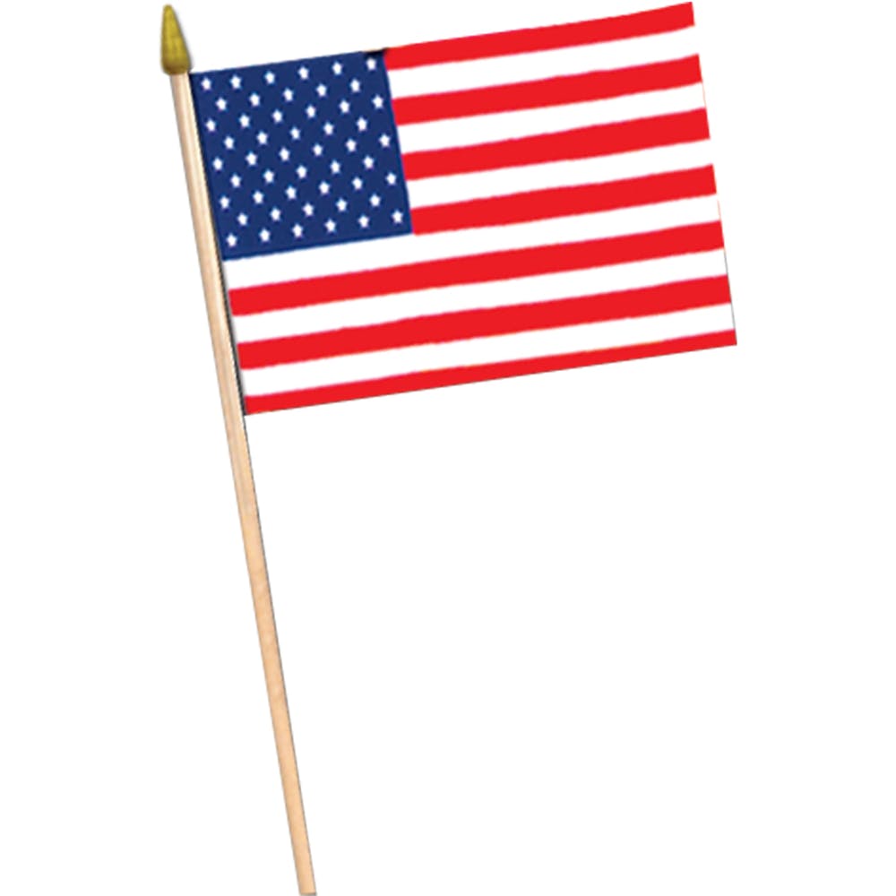 American Flags - 11" x 18" 2