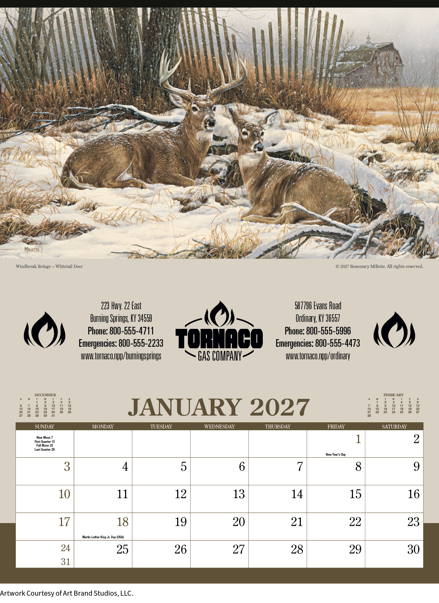 Triumph® Calendars Wildlife Art Calendar 38