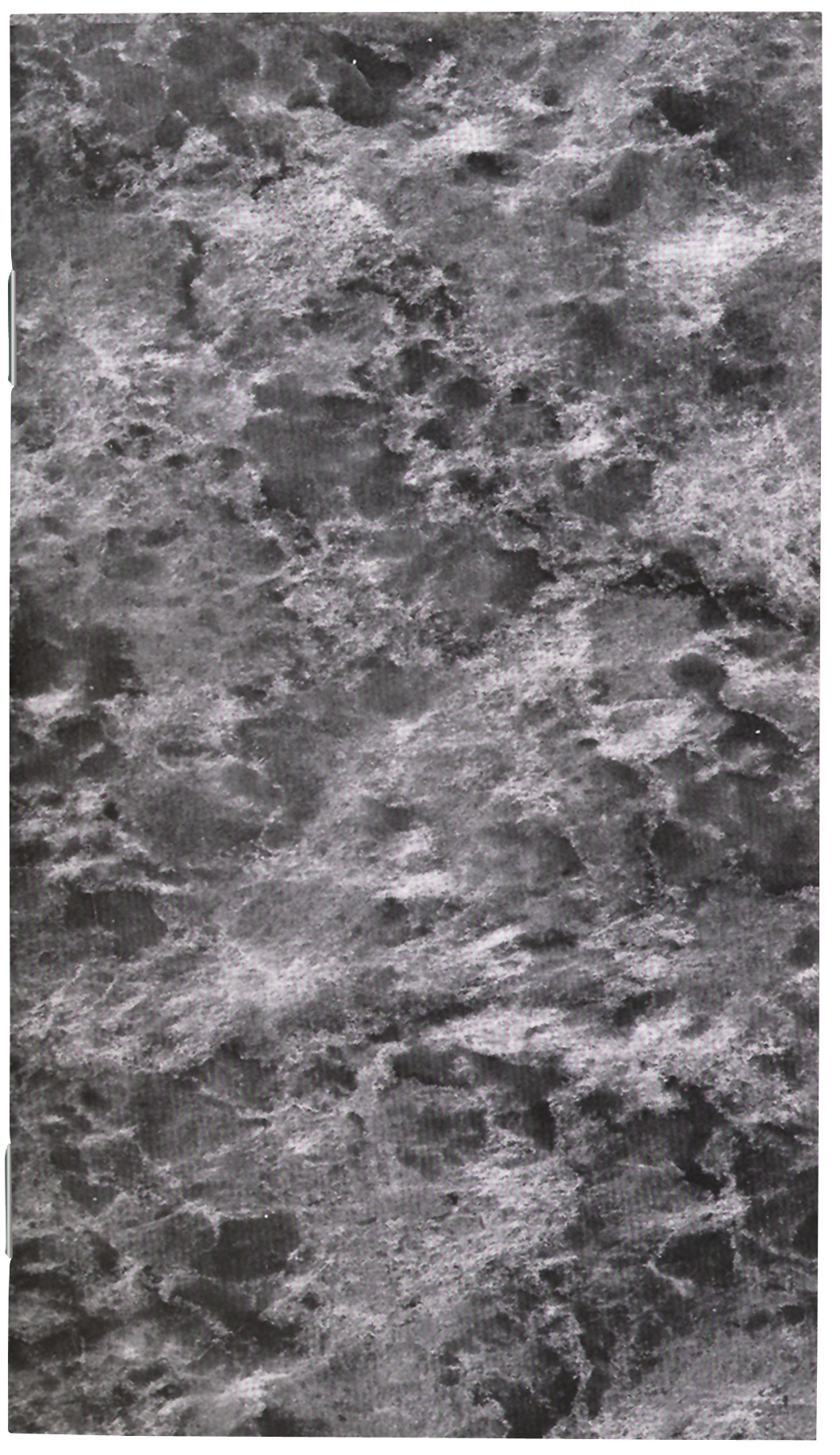 Cardstock Cover Solid Colors Monthly Pocket Planner 6