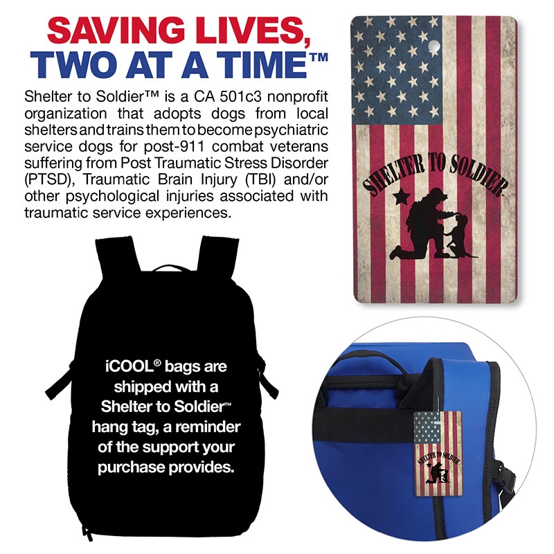 iCOOL® Vail 20-Can Cooler Backpack