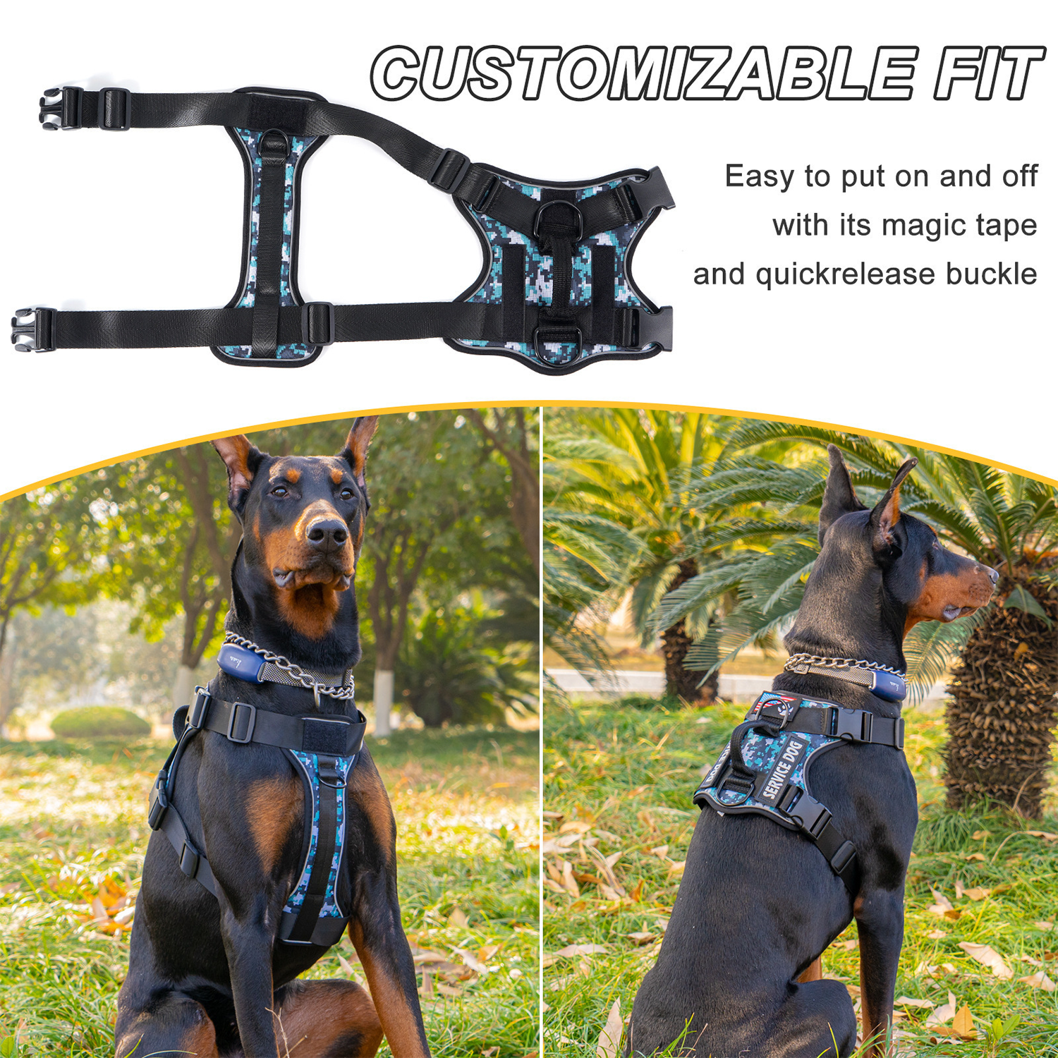 Large Dog Harness Lead 3