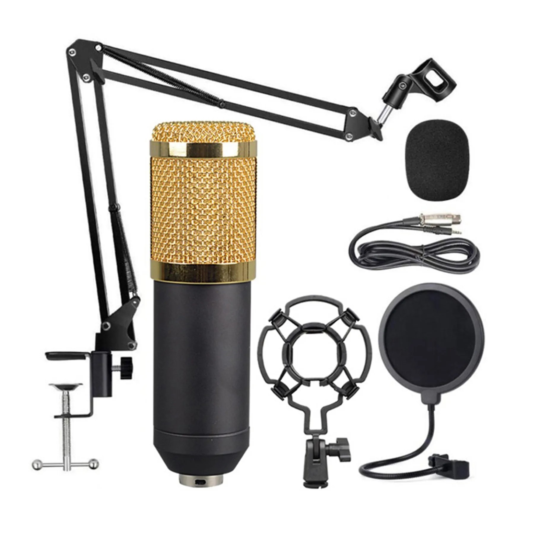 Studio Live Broadcast Microphone Set 2