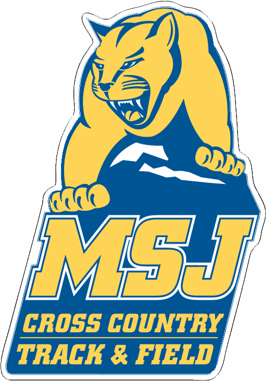 Custom Shape 5 - 5.5 Square Inch Die-Cut Magnet, Full Color 25 mil 2