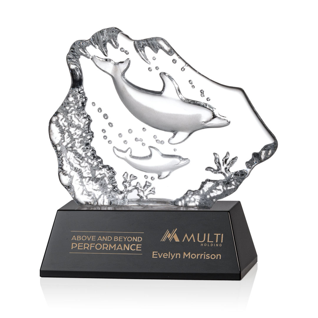 Ottavia 2 Dolphins Award 5
