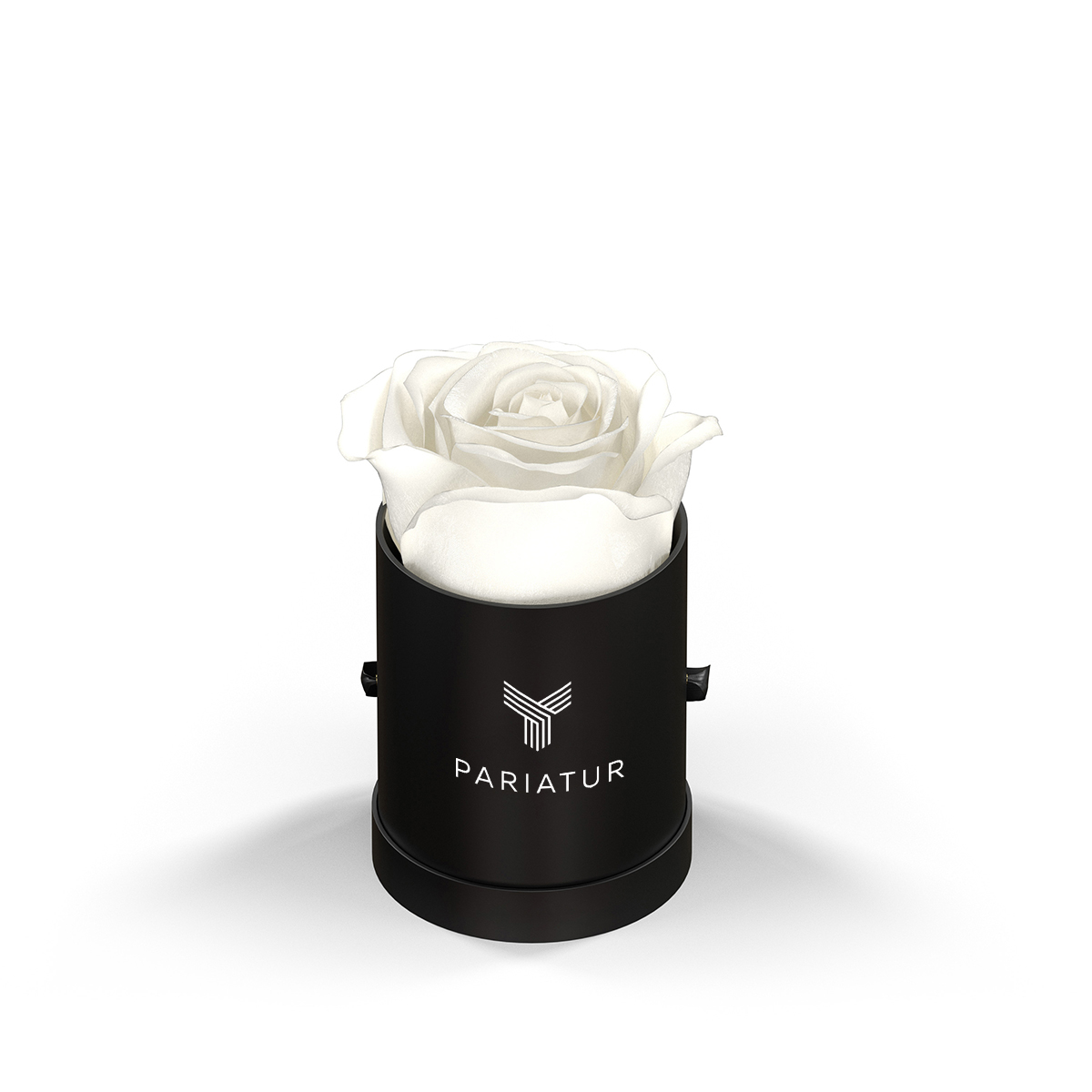 Classique by VeF Le Mini™ Round 12