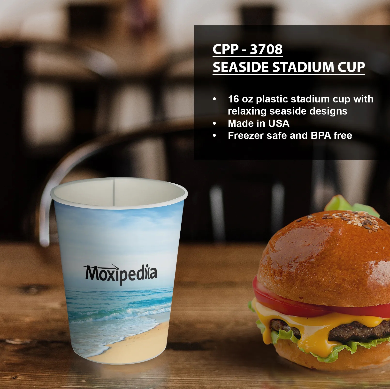 Seaside Stadium Cup 5