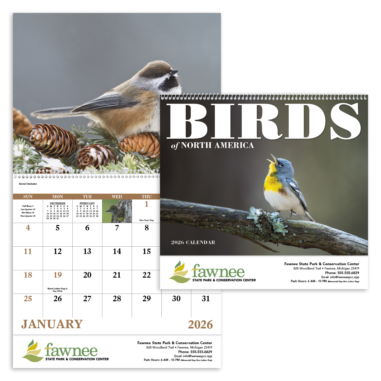 Good Value™ Birds of North America - Spiral Calendar 33