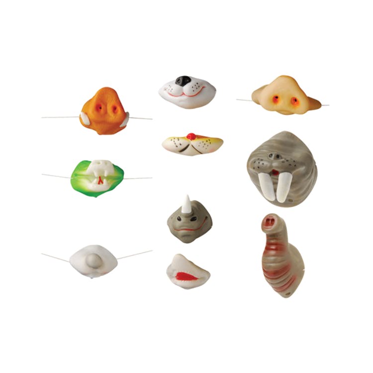Animal Noses - Assorted 2