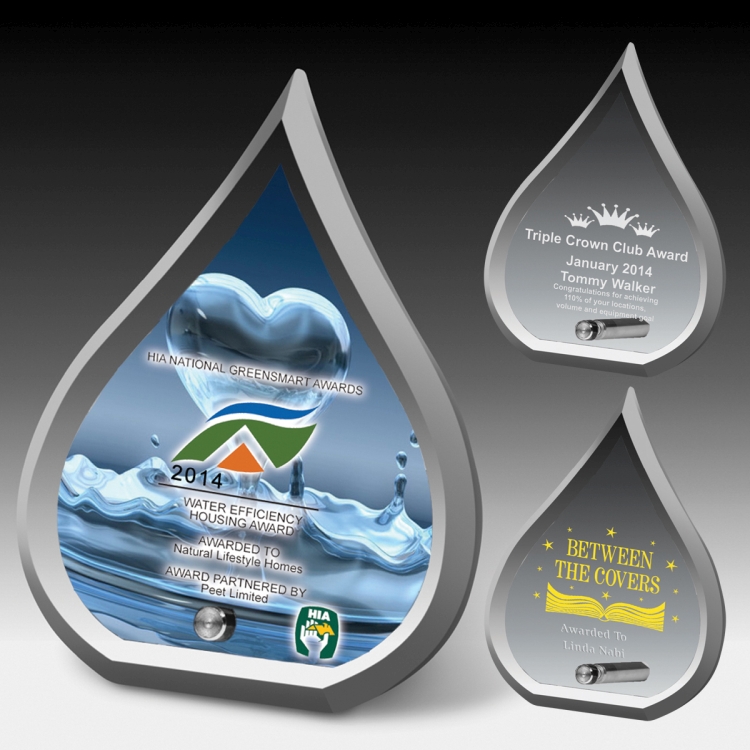 Modern flame award 4