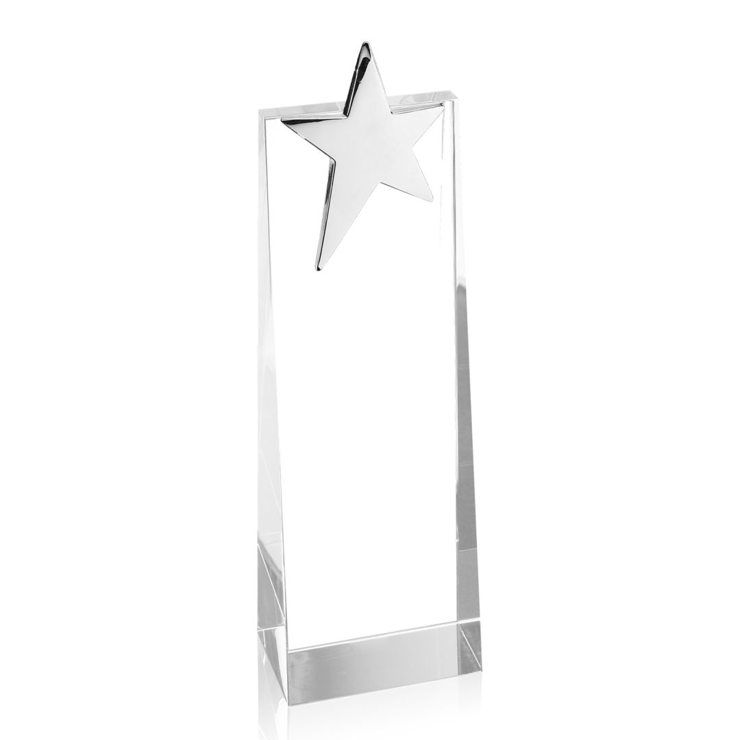 Carina Award 13