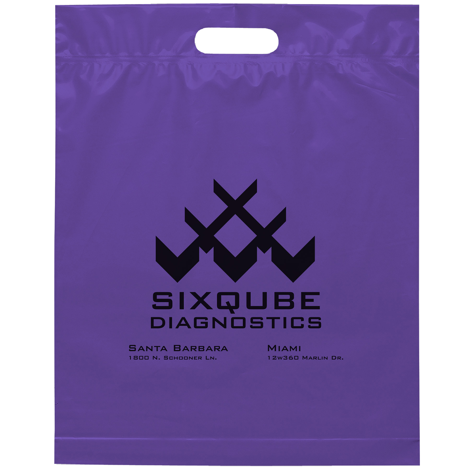 Die Cut Handle Bag - 15W x 19H x 3 - Flexo Ink Print 11