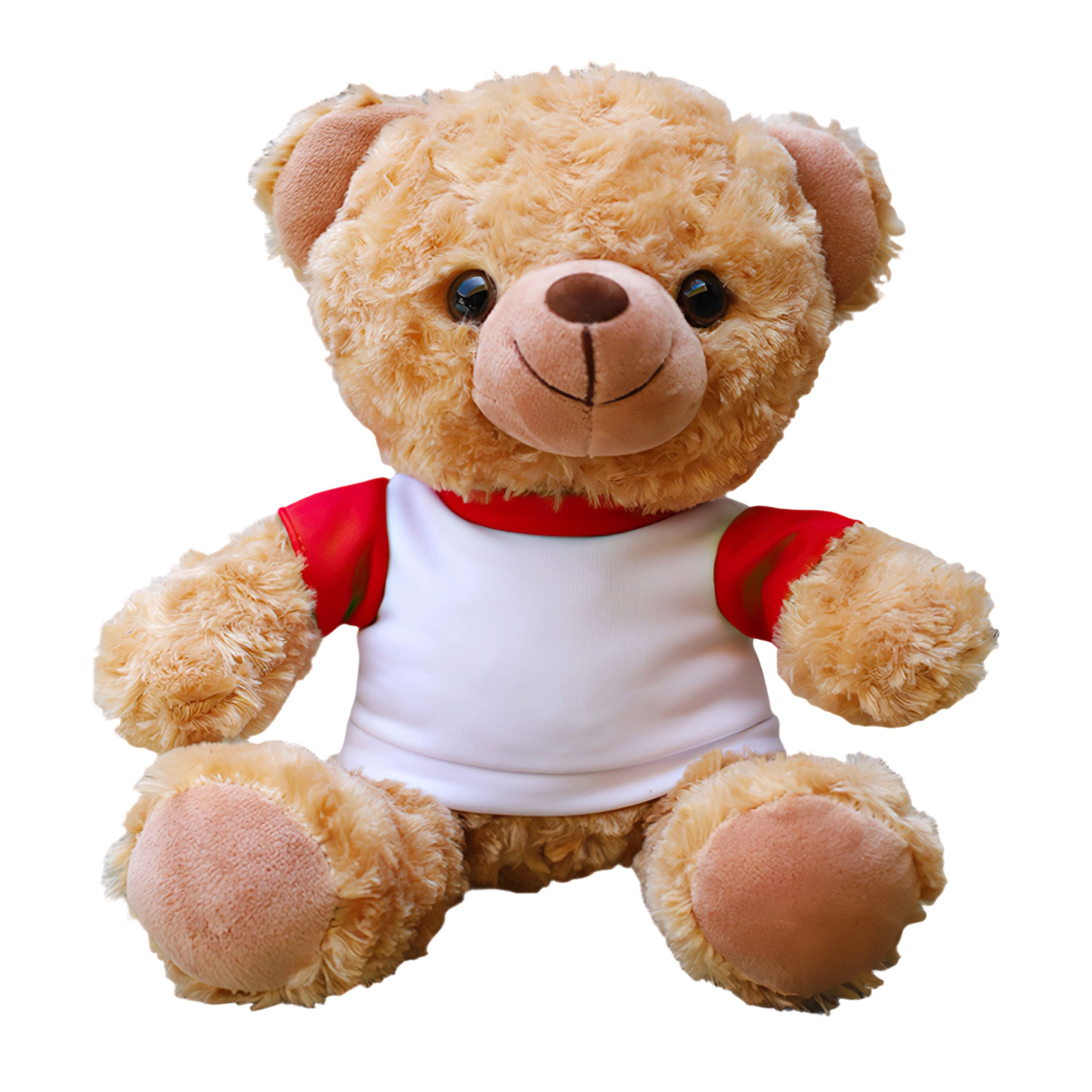 11'' Seated Style Stuffed Plush Teddy Beat With T-shirt 5