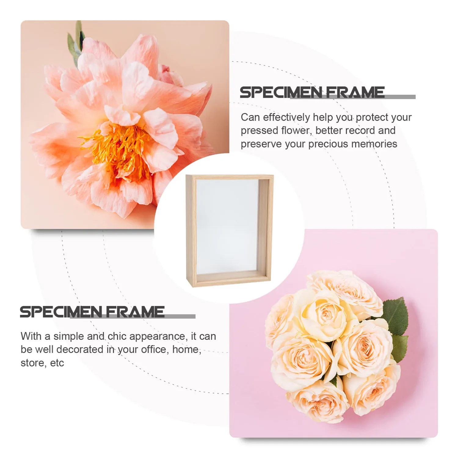 Flower Plant Specimen Photo Frame 3