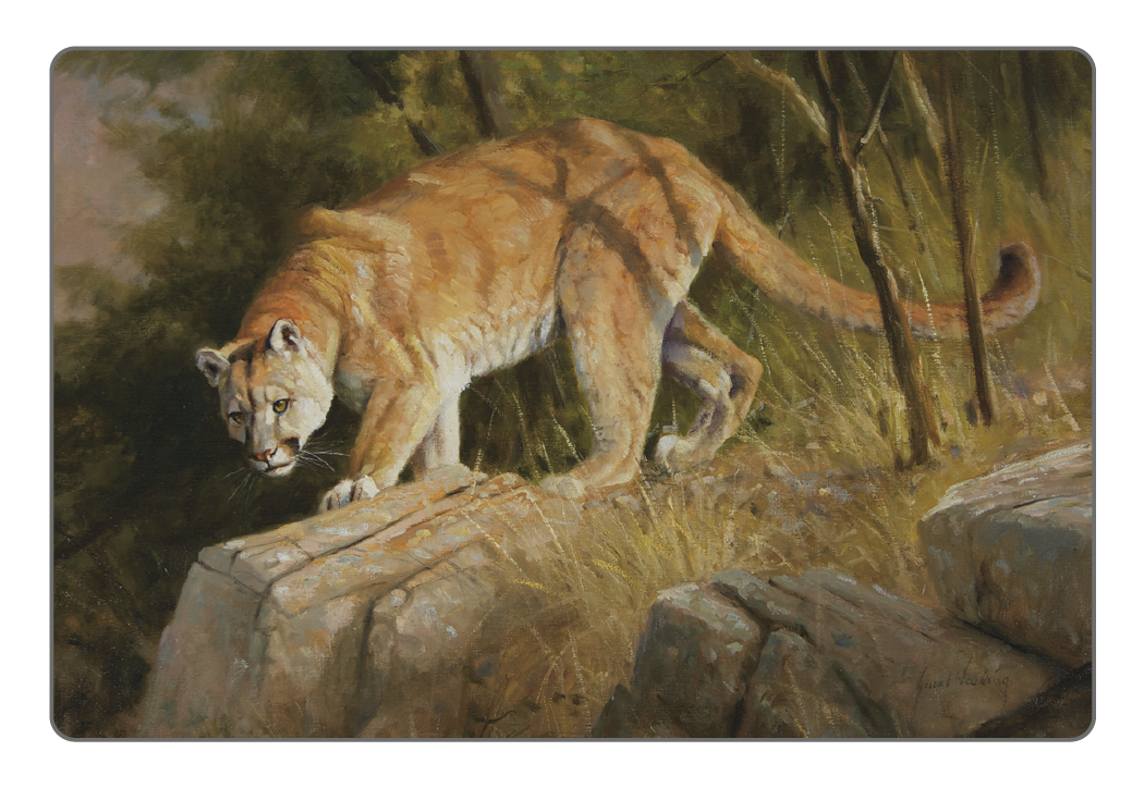 Triumph® Calendars Wildlife Art Pocket Calendar 19