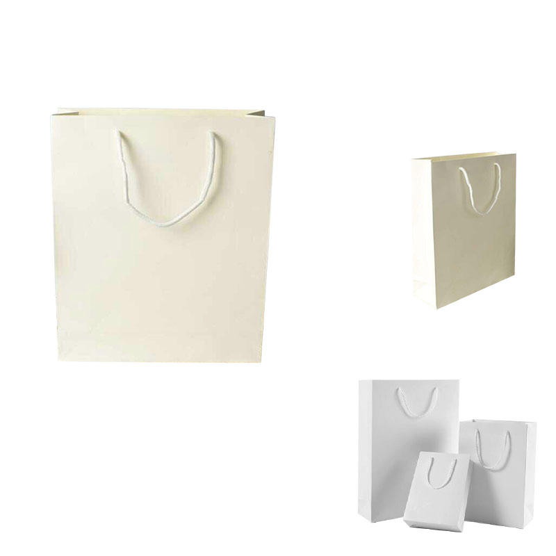 250g Cardboard Shopping Bag 2