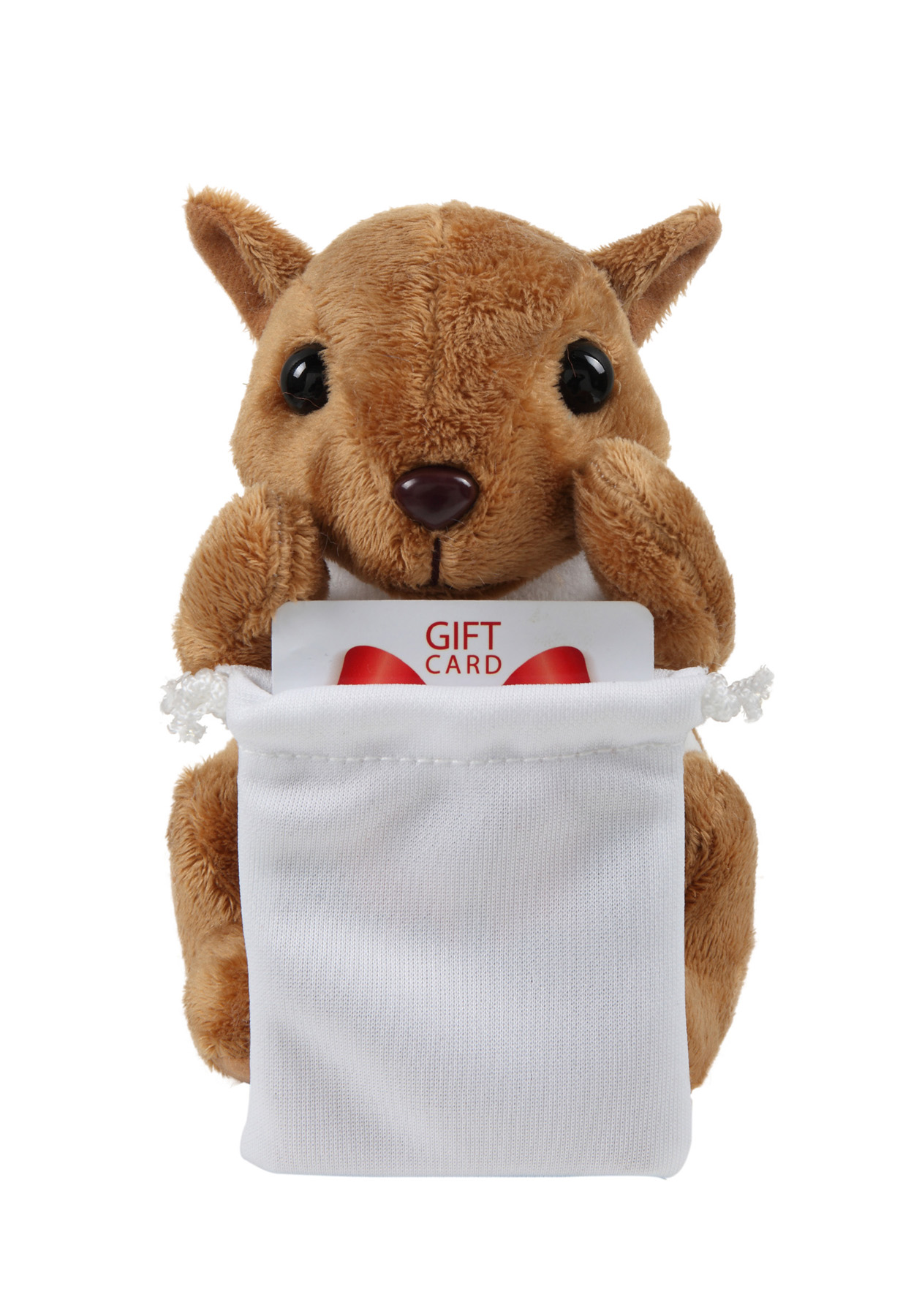 Soft Plush Sitting Squirrel with Gift Card Sack 1