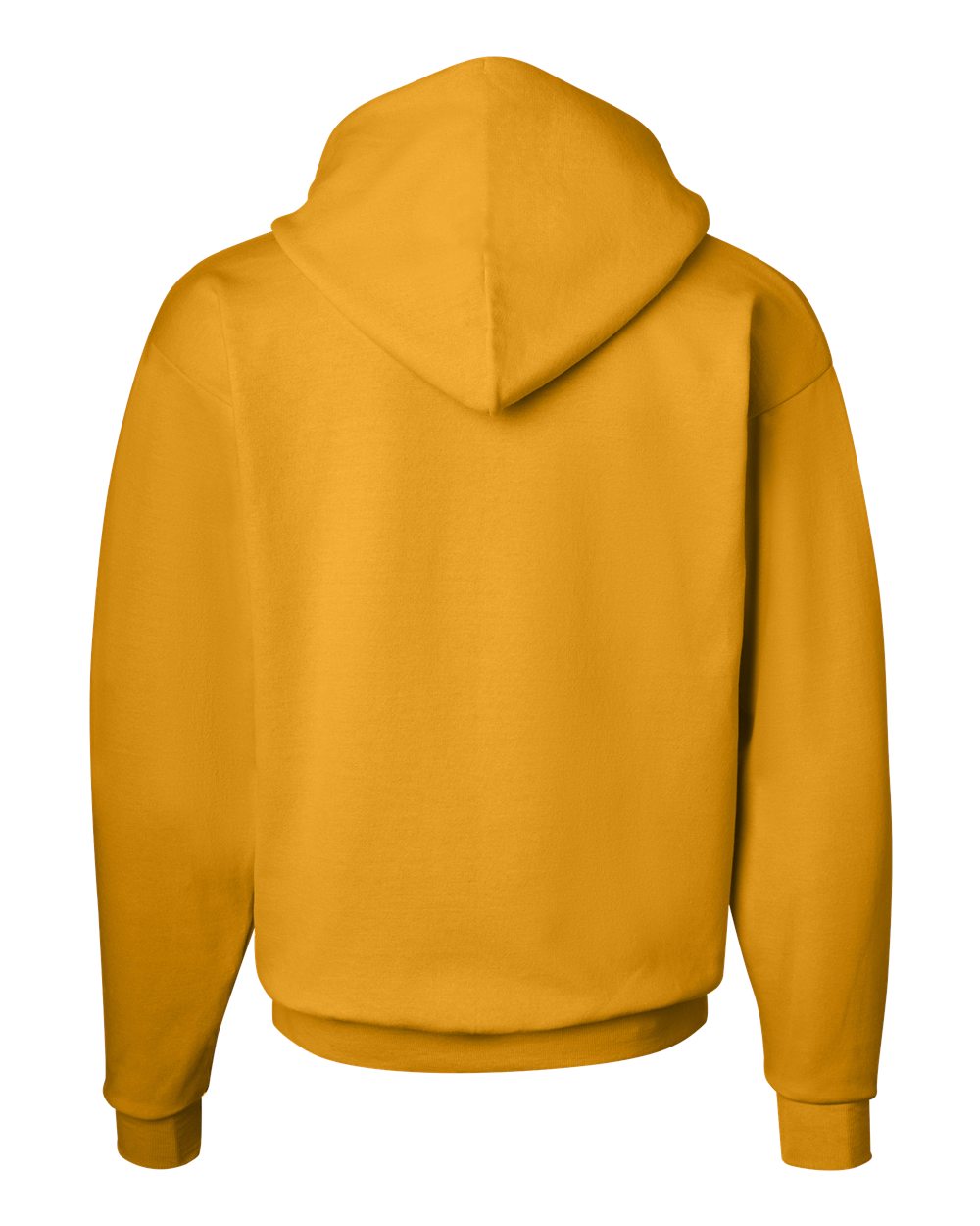 Unisex EcoSmart® Hooded Sweatshirt - P170 206
