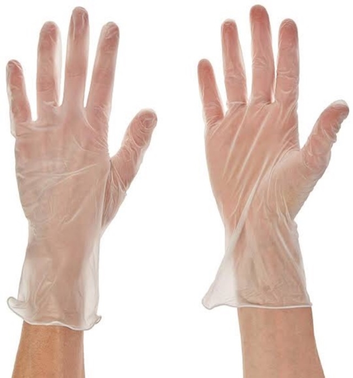Vinyl Powder-free Gloves 1