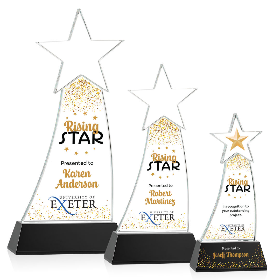 Manolita VividPrint™ Award - Black 4