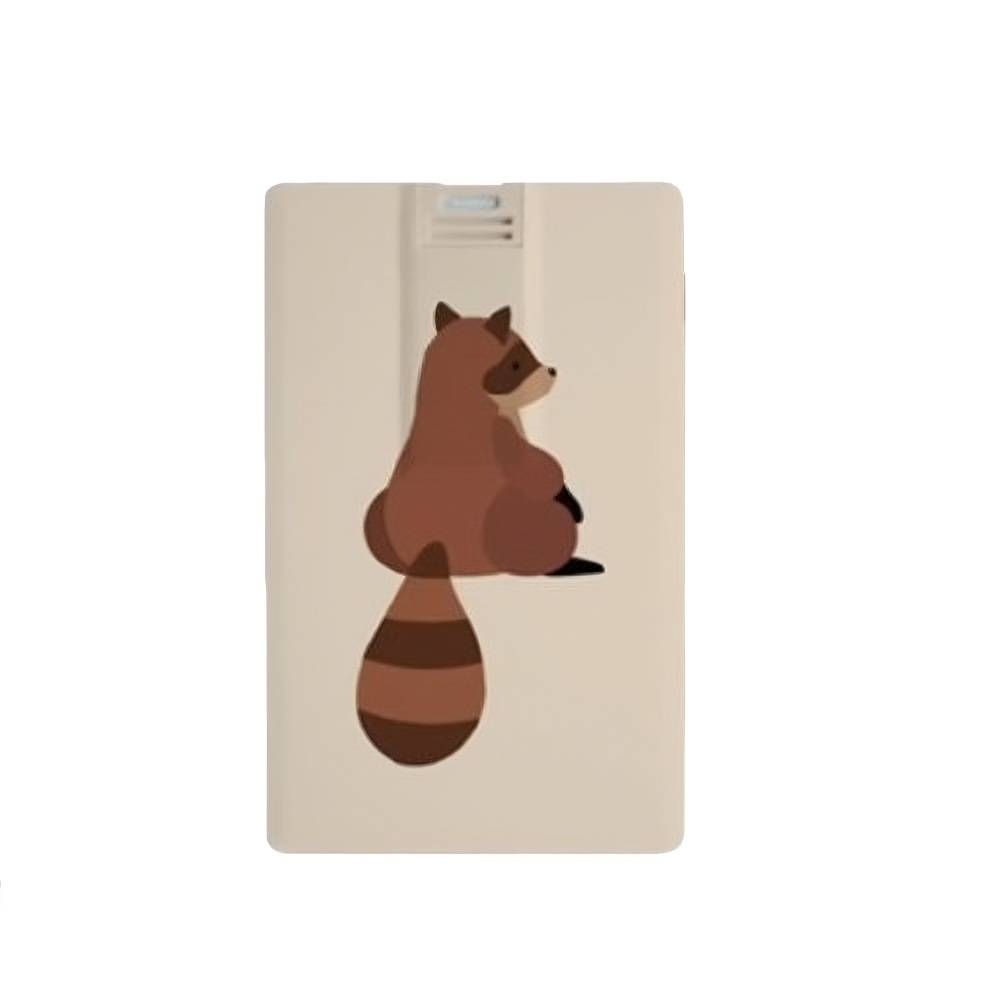 Plastic Card-Shaped USB Flash Drive (512MB) 2