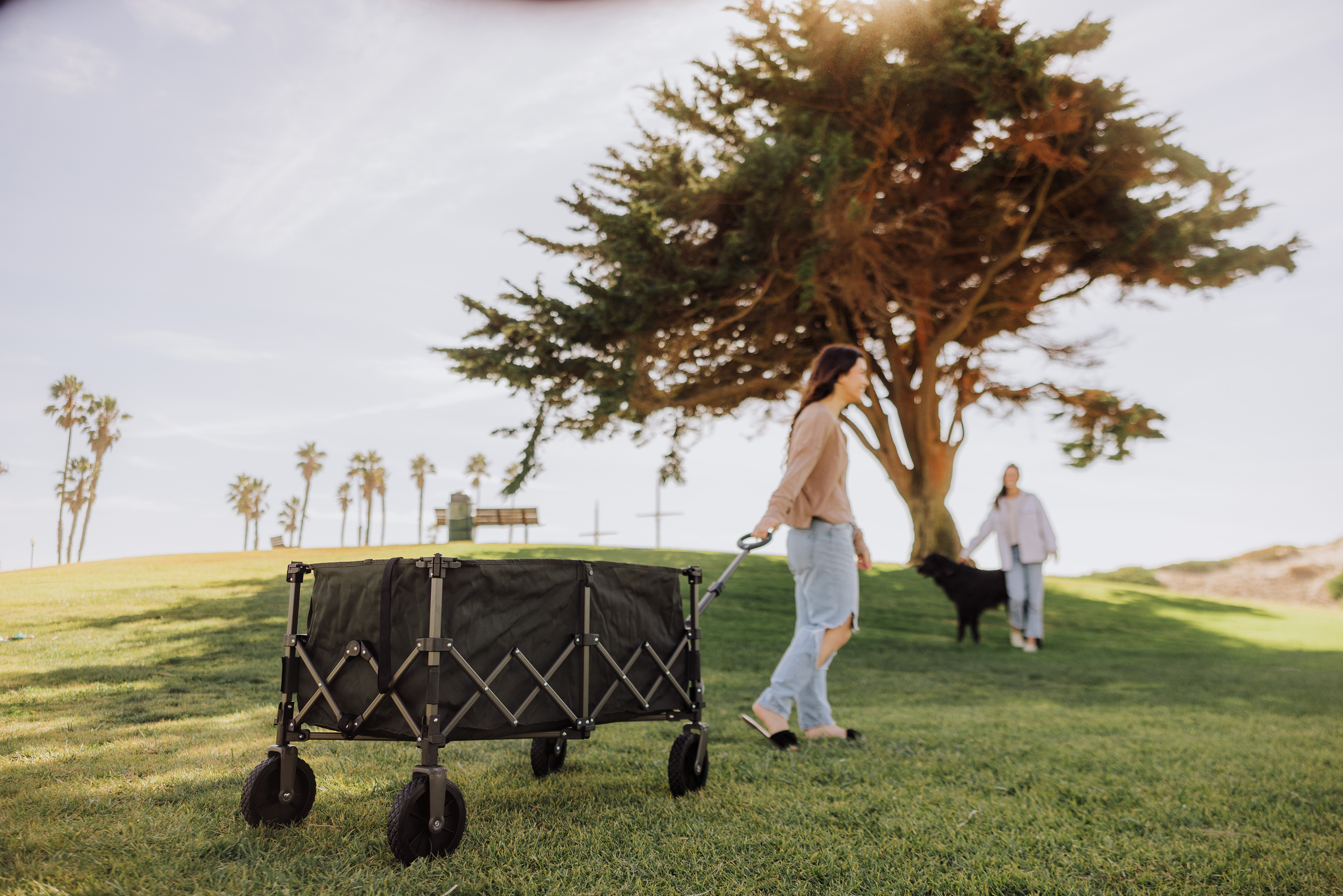 Wilderness Collapsible Folding Wagon 5