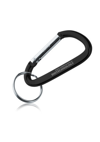 Metal Carabiner Keychains 4