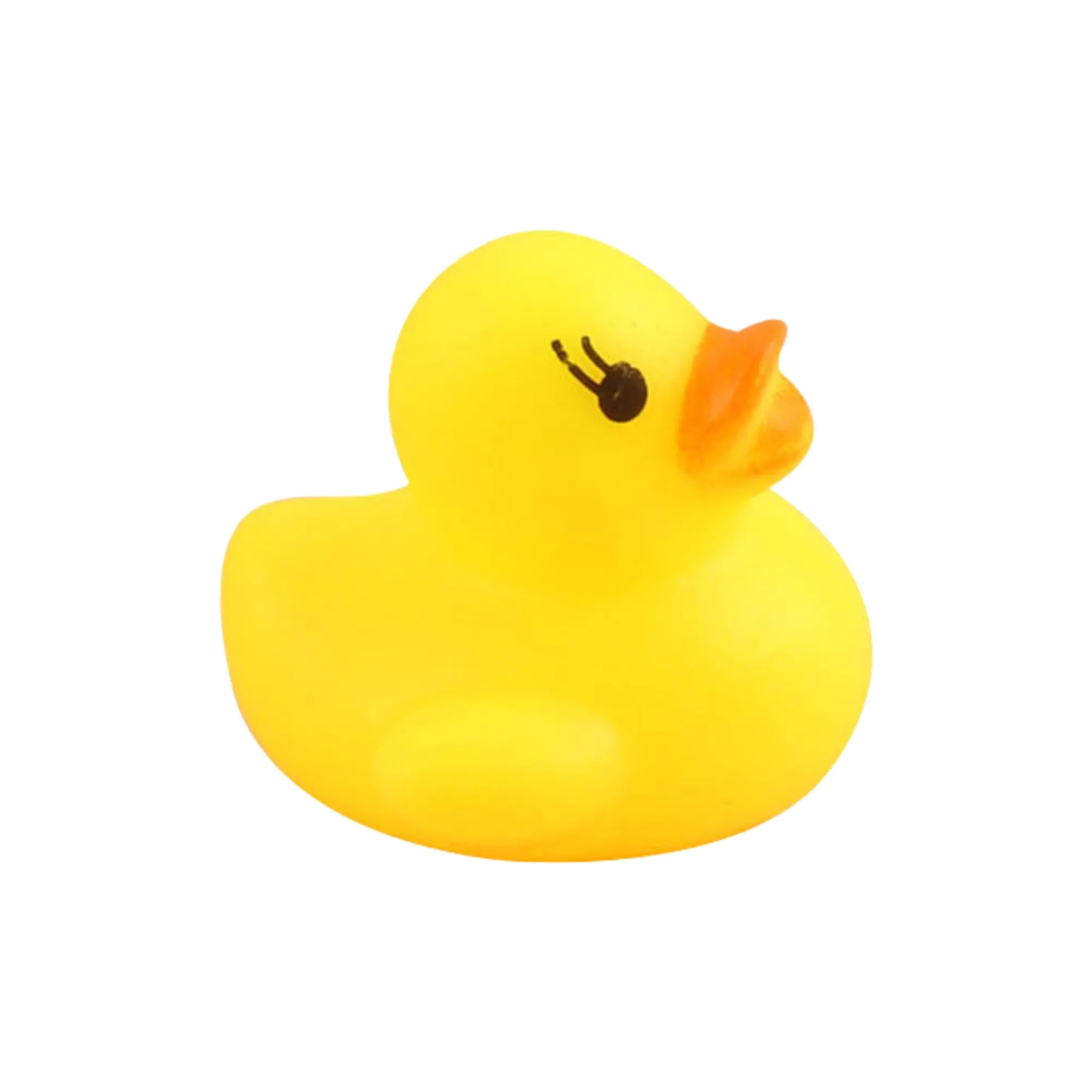 Musical Sensory Water Play Duck 3