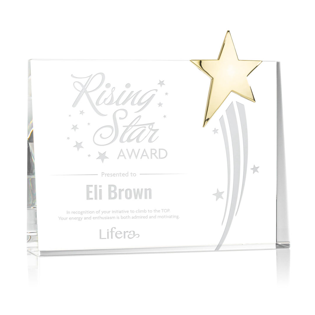 Bradenton Gold Star Award 2