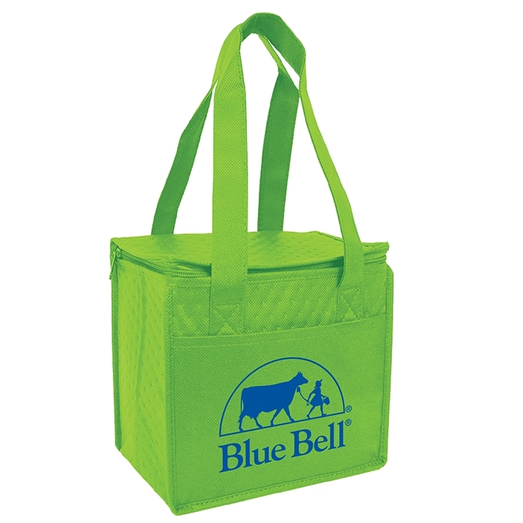 POLAR COMPACT COOLER BAG 1