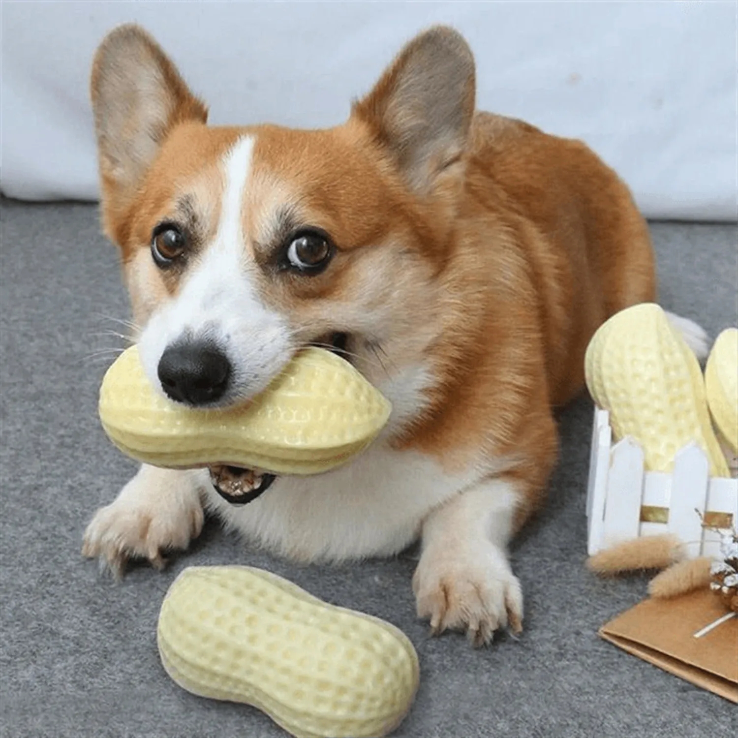 Teeth Grinding And Bite Resistant Toy Ball 2