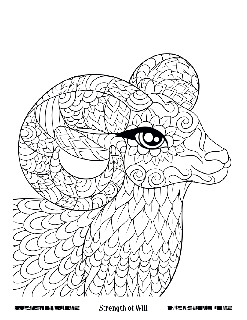 Good Value™ Wild Wonders Adult Coloring Book 14
