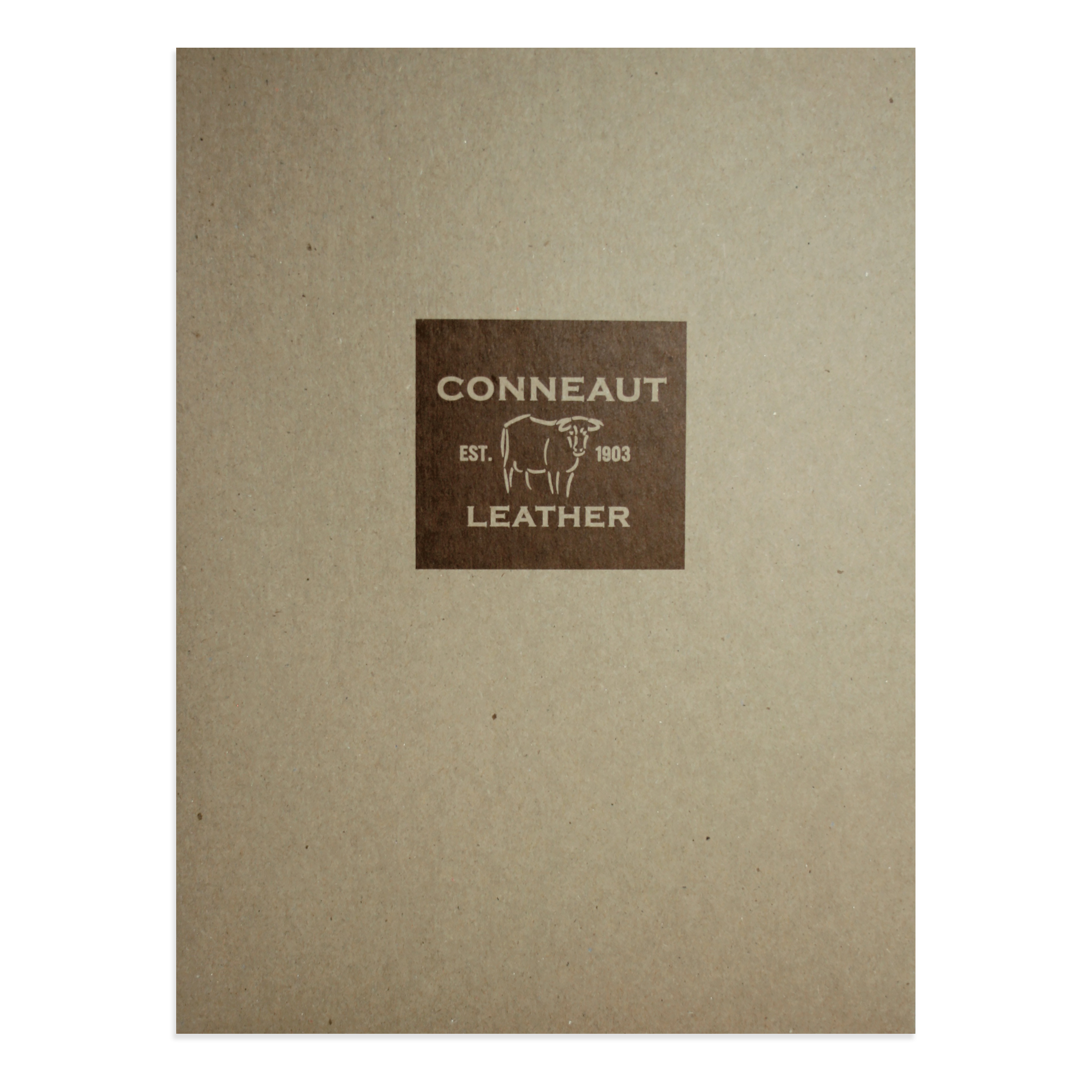 Recycled Quick Ship Pocket Folder Printed One Color 5