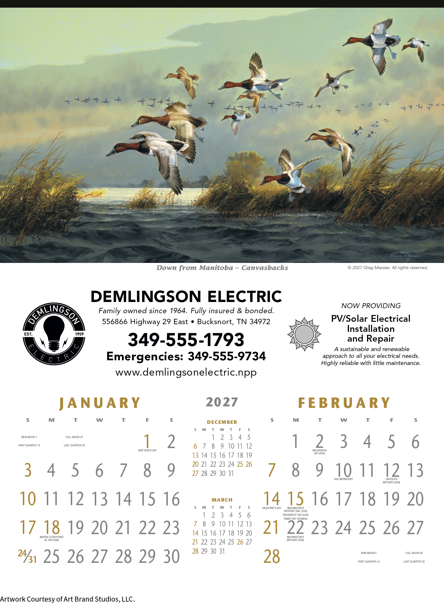 Triumph® Calendars North American Waterfowl Calendar 11